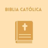 Salmo 51 biblia católica