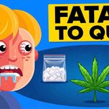 The Most Addictive Drugs Ranked _ Other Insane Substance Stories