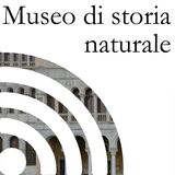 Al Museo di storia naturale con Suzana Blesic
