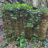 Episodio 68 - Il pozzo murato sul Colle del Roccolo