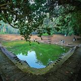 കോഴിക്കോട്ടെ വൈറല്‍ കുളം തേടി | Muchukunnu temple pond