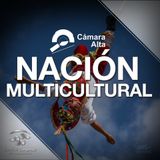 LEY DEL INSTITUTO NACIONAL DE LOS PUEBLOS INDÍGENAS