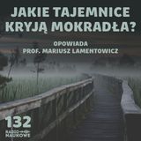#132 Mokradła, bagna, torfowiska - portale między przeszłością a przyszłością | prof. Mariusz Lamentowicz