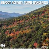 Campers Flee Oklahoma Creek After Bigfoot Turns Aggressive!