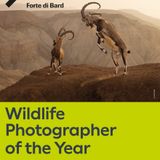 Annalisa Cittera "Wildlife Photographer of the Year" Forte di Bard