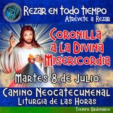 CORONILLA A LA DIVINA MISERICORDIA DE HOY. MARTES 8 DE JULIO 2025. 🙏 REZAR EN TODO TIEMPO.     