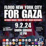 The Insane Pro-Hamas Movement From New York To Israel