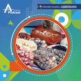 Importancia de las semillas en la agricultura