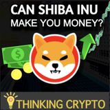 Should You Invest in Shiba Inu SHIB Coin?