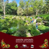 NUESTRO OXÍGENO Jardín Japones, Bosque Los Colomos en Guadalajara