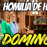 EN VIVO  Parábola del SEMBRADOR HOMILÍA DE HOY DOMINGO  PADRE LUIS TORO