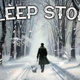 Walking Timmy in the Snow_ A Calming Bedtime Story