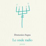 Domenico Segna "Le onde radio"
