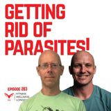 Episode 283: Getting Rid of Parasites!