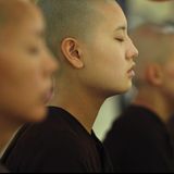171 - Meditazione: ecco cosa ho imparato da 4000 aspiranti meditanti...