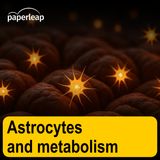 Astrocytes and metabolism