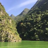 Caldo e siccità ecco i pro e i contro delle foreste naturali e artificiali