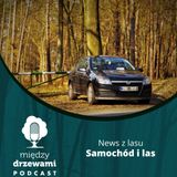 News z lasu - Samochód i las [Opowiada Michał Wieciech]