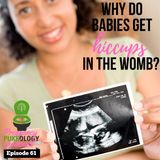 Why do babies get hiccups in the womb