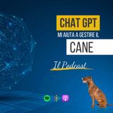 160 - Chat gpt mi aiuta a gestire il cane.