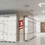 Why Do School Have Lockers Their History and Purpose Explained Episode 1