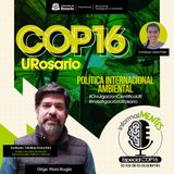 COP 16: Política internacional ambiental