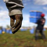 Sono 267 mila gli occupati stranieri in Veneto nel 2025. I dati di Veneto Lavoro