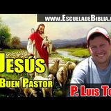 EL BUEN PASTOR CUIDA SUS OVEJAS DE LOS LOBOS - P LUIS TORO