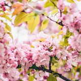 During Caregiving, Naming Your Scope of Work