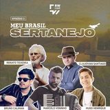 Meu Brasil Sertanejo: a composição e o arranjo na música