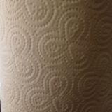 BNN Presents The Kitchen Roll Effect