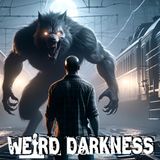 Ohio's Real-Life Werewolf: Actual Dogman Encounters | Multiple Sightings, One Terrifying Conclusion!