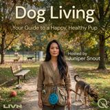 Dog Living - The Art of the Daily Walk