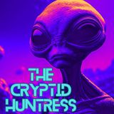 Lake Michigan Mermaids & Chicago Vampires with Midwest Night Watchers