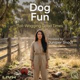 Dog Fun - Zoomies, Splashes, and Belly Flops: The Science of Why Dogs Play So Hard