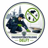 Hoe je je huis beschermt tegen ongedierte tijdens verbouwingen