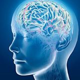 Immagine di copertina di 'Ator Ator - Menti Libere'