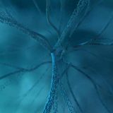 L'architettura neurocognitiva nell'era dell'IA generativa: modificazioni cerebrali, profili psichiatrici e prospettive evolutive nelle nuove