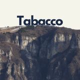 254 - "Il contrabbando è conseguenza d'ingiustizia" | Il tabacco del Canal di Brenta