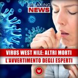 Virus West Nile, Altri Morti: L'Avviso Degli Esperti!