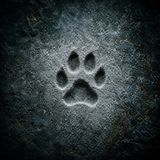 Paw Print in Flour Dust — Brothers Grimm rebooted