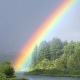 06 Quando nascono i cervi c'è un arcobaleno