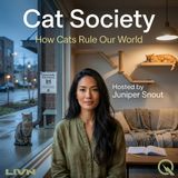 Cat Society - The Secret Colonies Next Door