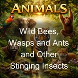 Wild Bees Wasps and Ants and Other Stinging Insects - Edward Saunders