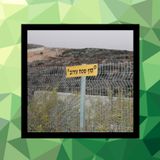 46 - El hilo que rodea las comunidades judías