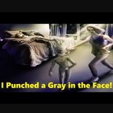 I Punched a Gray In the Face!
