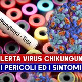 Allerta Virus Chikungunya In Italia: I Pericoli Ed I Sintomi!