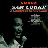 Strange Fruit, Sam Cooke, Public Enemy: 3 epoche, un solo grido contro il razzismo. La musica che racconta l’America che lotta per cambiare