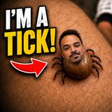 Tick Attack Alpha Gal | Neph 2 America