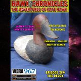Episode 264 Hawk Chronicles "The Decoy"